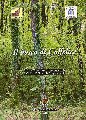 Il bosco di Colfelice
