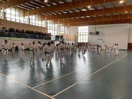 Palasport