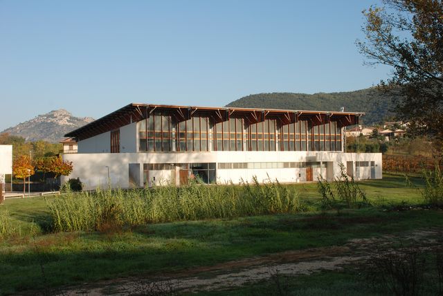 Palasport web