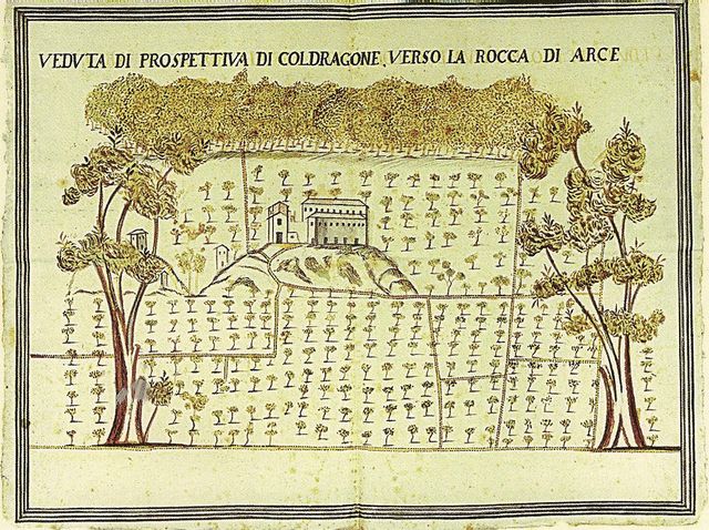 Coldragone Disegno del 1700